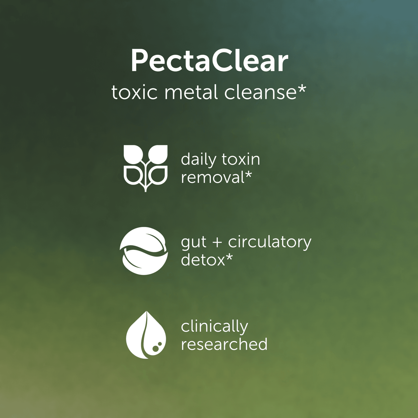 body cleanse supplement benefits summary